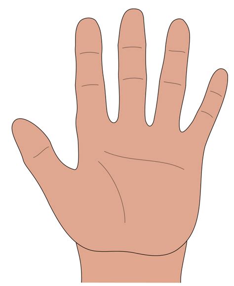 hände clipart|hands open clip art.